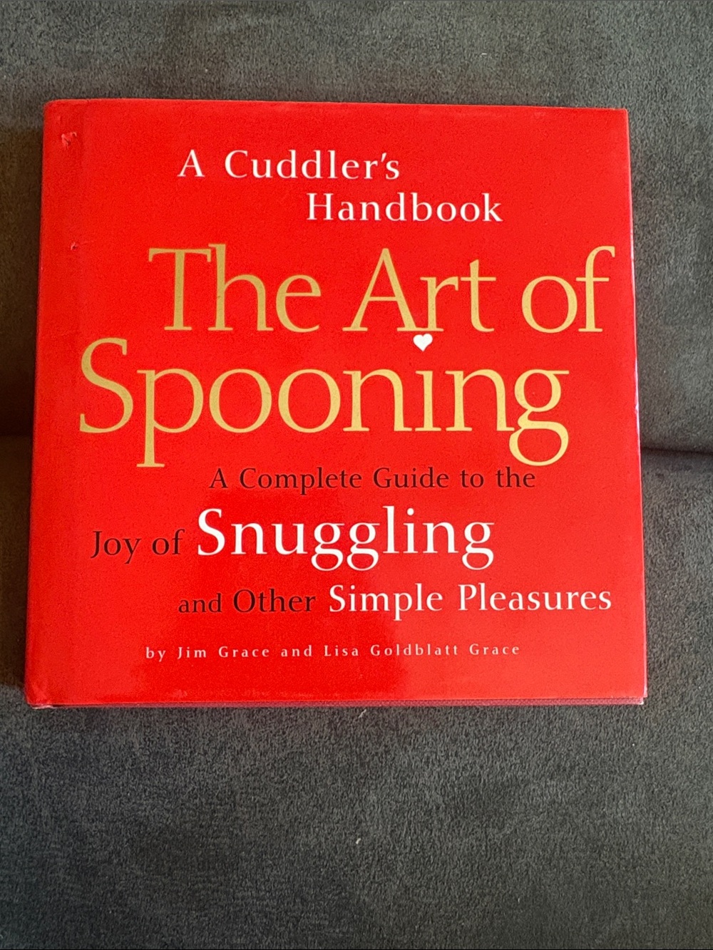 🔥5 FOR $25🔥 The Art of Spooning: A Complete Guide to the Joy of Snuggling